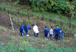 清水中学校№004