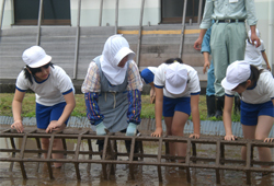 下宇坂小学校№003