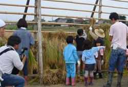 鶉の里調査隊№007